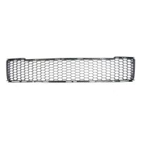 Radiator grille bumper front