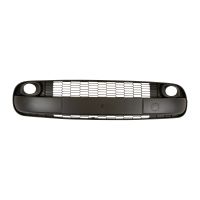 Radiator grille bumper centre with fog light