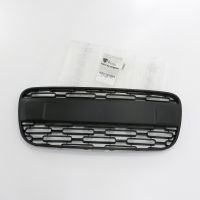 Radiator grille bumper centre