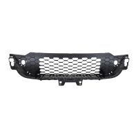 Radiator grille front bumper bottom