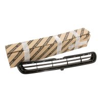 Radiator grille bumper front top