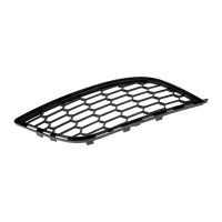 Radiator grille on the bumper right