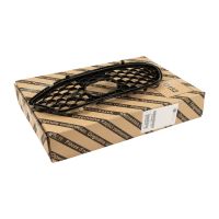 Grille front on the bumper right