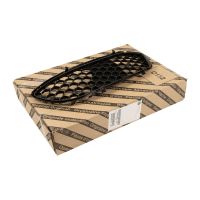 Grille front on the bumper left