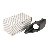 Cladding on the front bumper