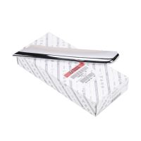 Cover strip on the front bumper on the left