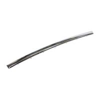 Rear bumper trim strip