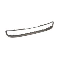Decorative strip on the front of the bumper