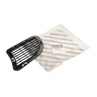 Front left radiator grille