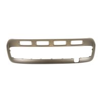 Decorative strip on the front bumper