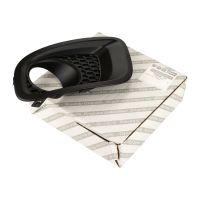 Cover left fog light