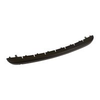 Front bumper trim strip