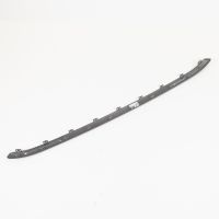 Decorative strip in front of the bumper