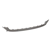 Decorative strip on the front bumper