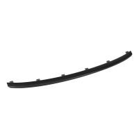 Front bumper trim strip, center