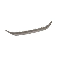 Front bumper trim strip