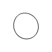 O-ring vacuum pump brake booster