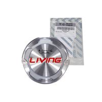 Emblem Fiat 500L Living