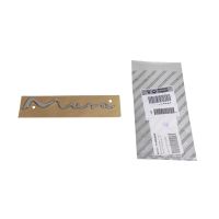 Musa lettering on the back