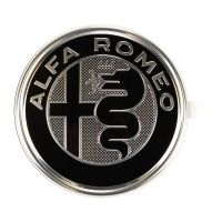 Alfa Romeo emblem on the back