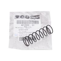 Spring for gear knob