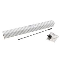 Roof antenna with foot for the car radio