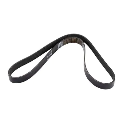 V-ribbed belt 7PK1236 buy online | Augustin Group 