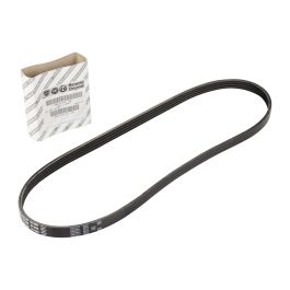 Stretchy Belt 4K903 buy online | Augustin Group