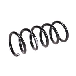 Rear suspension spring buy online | Augustin Group