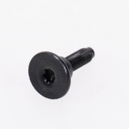 Screw Torx T-30 M6 buy online | Augustin Group