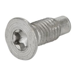 Screw for the door M6X18 buy online | Augustin Group