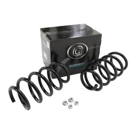 Frankberg 2x Front Coil Springs - Compatible With Renault Kangoo, Kubistar Box (RC2279)